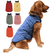 Dog Winter Coat (Option: Blue-L)